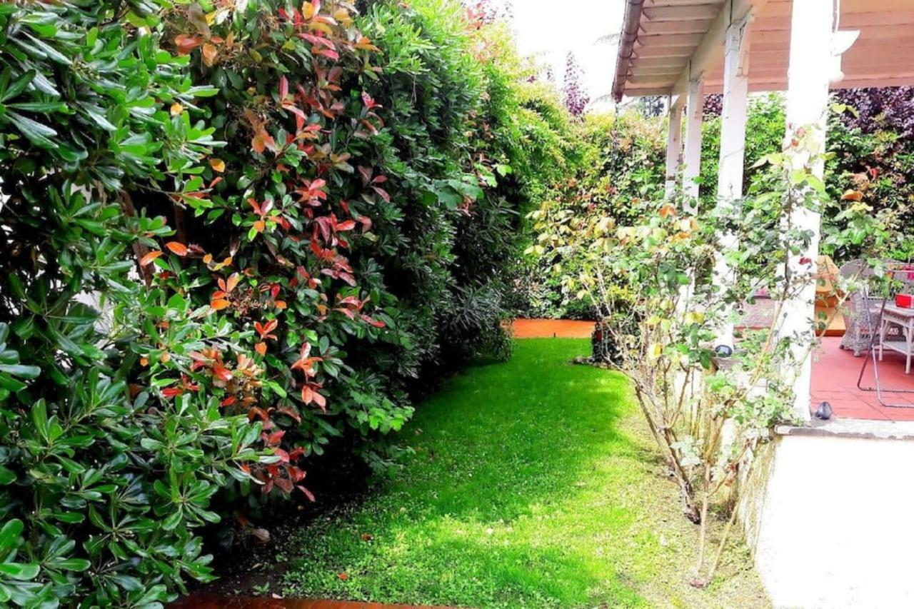 Villa Rita *